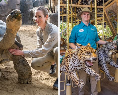 stl zoo jobs|hershey zoo employment.